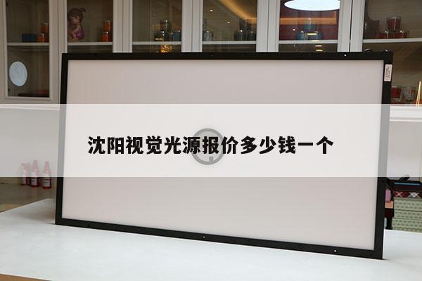 沈阳视觉光源报价多少钱一个