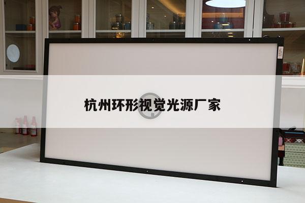 杭州环形视觉光源厂家