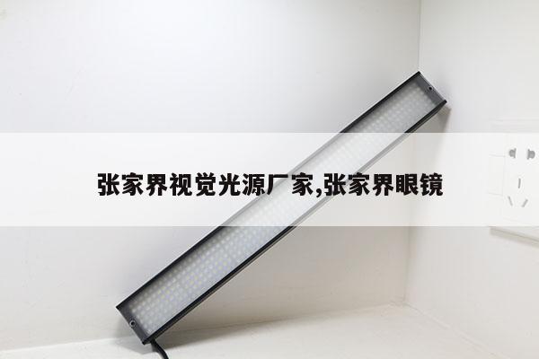 张家界视觉光源厂家,张家界眼镜