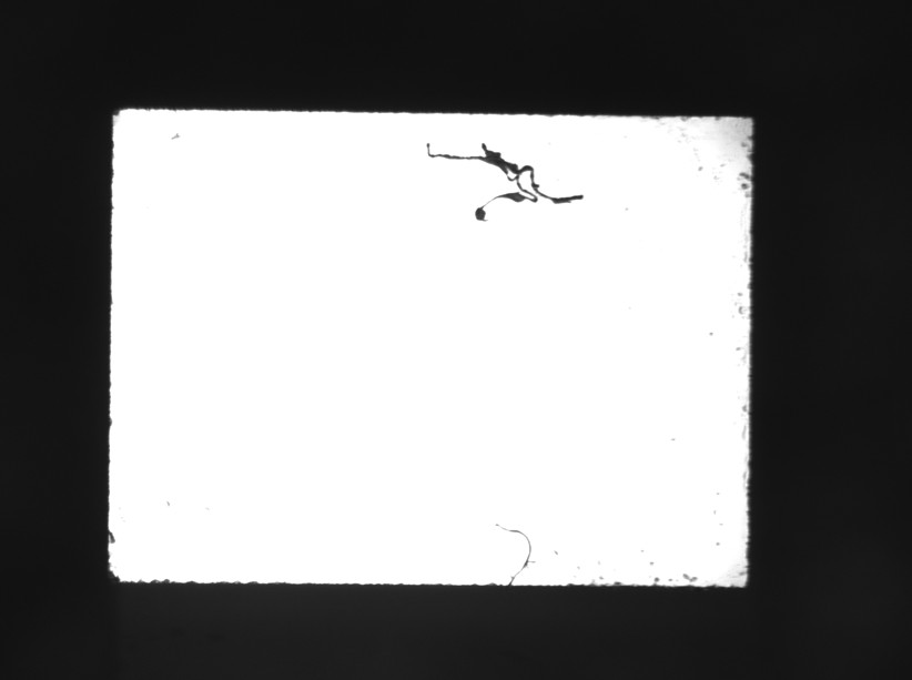 1636428461656381.jpg